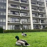 Apartment Gale T1 109