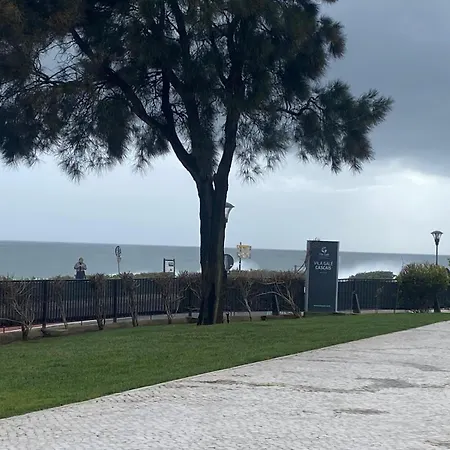 Appartement Gale T1 109 *